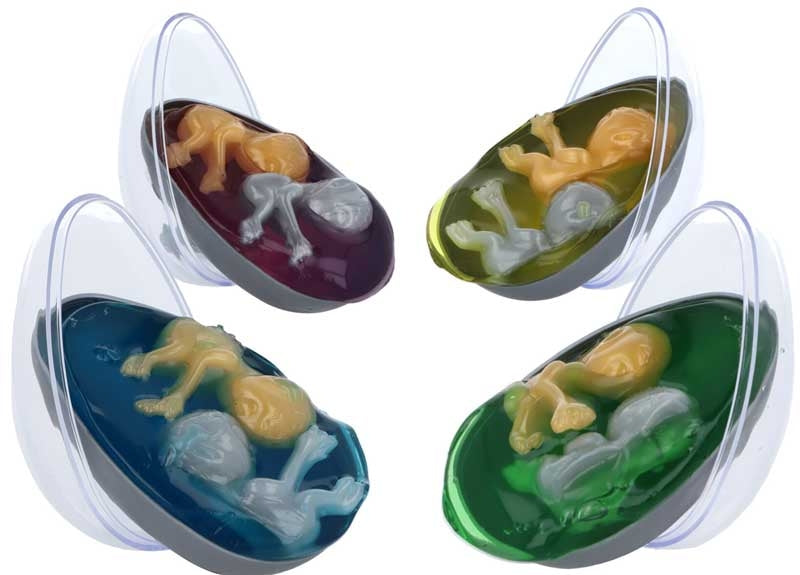 BABY ALIEN EGG - TWIN BABIES